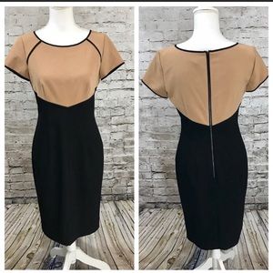 Ann Taylor tan & black dress